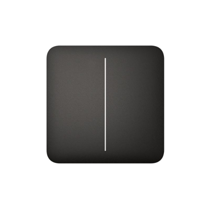 Ajax CenterButton (2-gang)